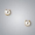 Horseshoe Pearl Earrings with White Freshwater Pearl