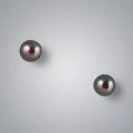 Pearl Stud Earrings with Treated Black Freshwater 6.5-6.0 mm Pearls