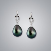 Pearl Earring with Natural Black South Sea 11.0-10.0 mm Pearls