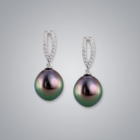 Pearl Earring with Natural Black South Sea 11.0-10.0 mm Pearls