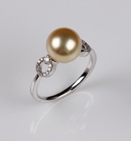 Japanese Akoya Pearl Ring, Treated Golden Color, 9.0 mm, 18KW