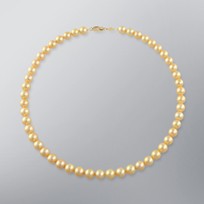 Japanese Akoya Pearl Strand Necklace,Treated Golden, 8.0mm, 18KY