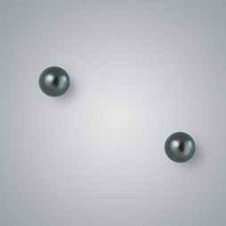 Pearl Stud Earrings with Treated Black Freshwater 5.5-5.0 mm Pearls