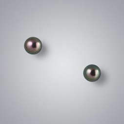 Pearl Stud Earrings with Treated Black Freshwater 6.5-6.0 mm Pearls